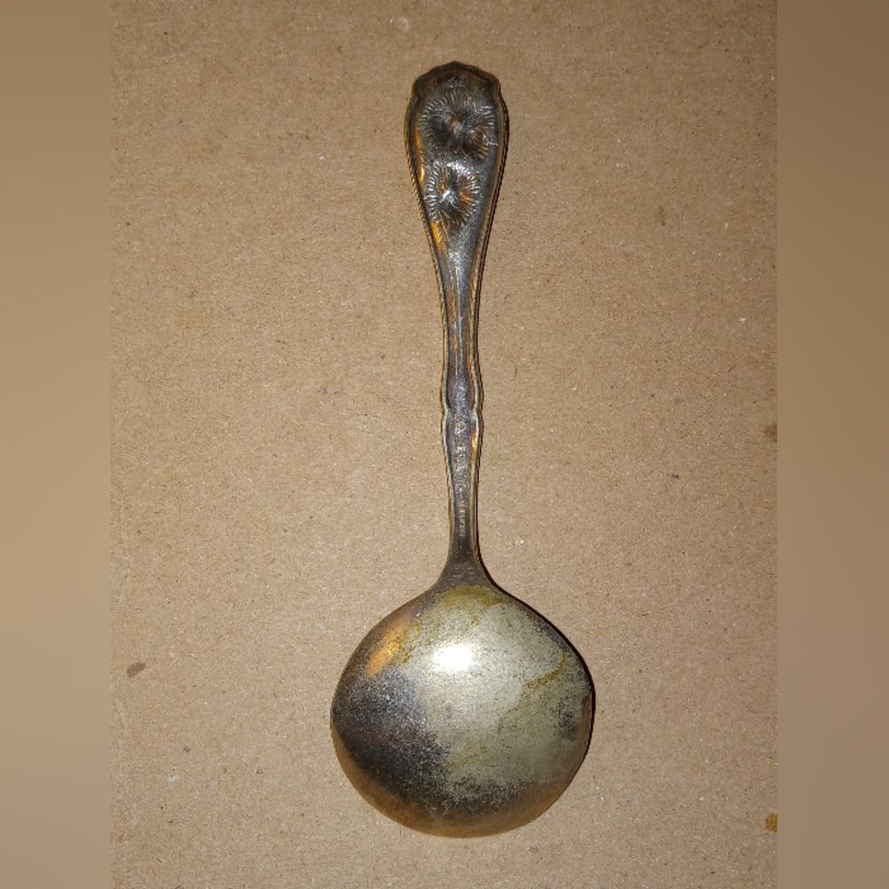 W.R. Carnation Antique 1908 Spoon